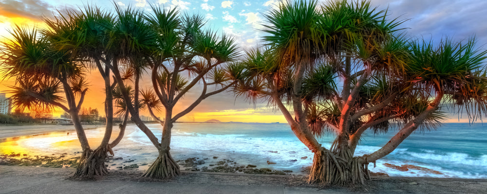 Alexandra Headland Sunset