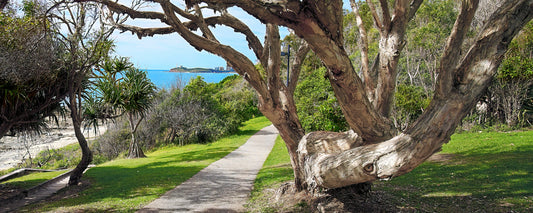 Walking Alexandra Headland