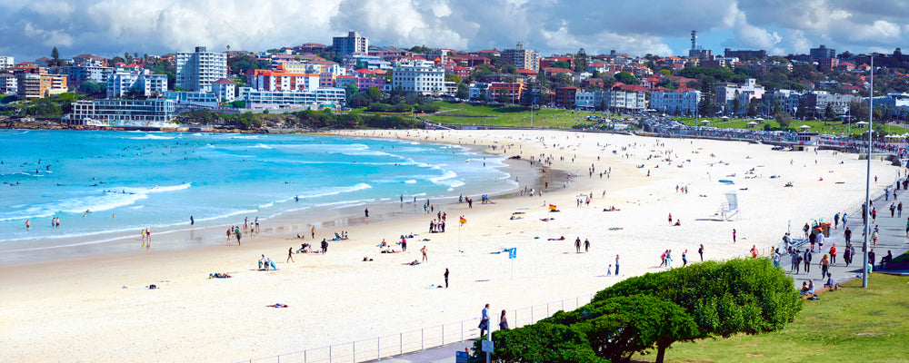 A Day on Bondi