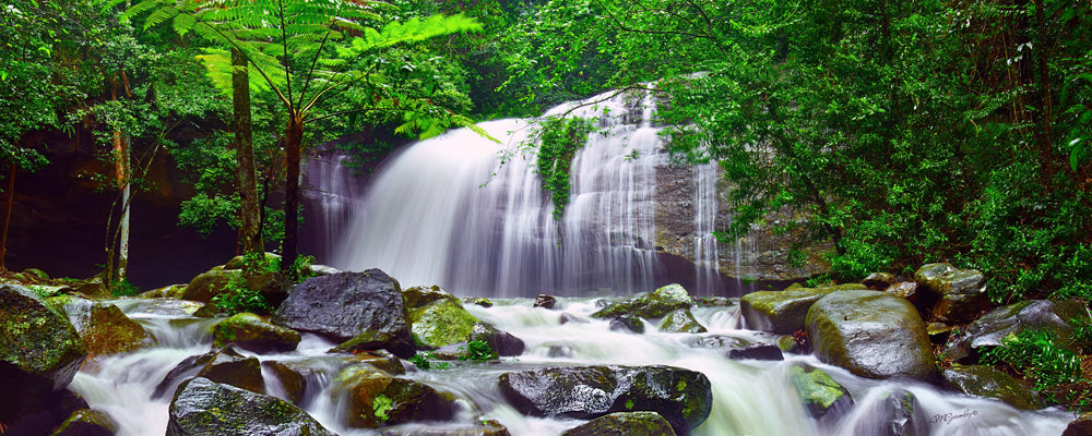 Buderim Falls