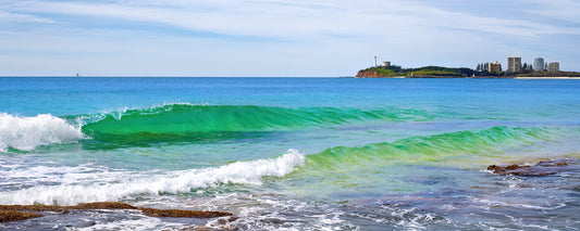 View of Point Cartwright