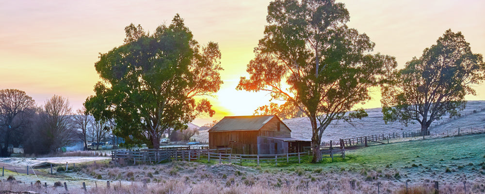 Cold Country Shack