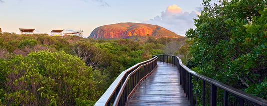 Mount Coolum Sunrise