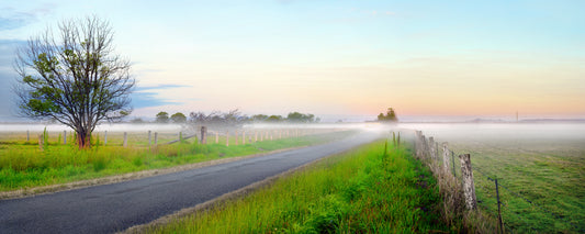 One Foggy Morning