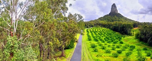 Glasshouse Mountains Roads