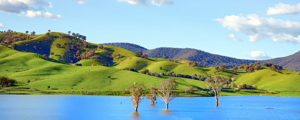 Lake Hume