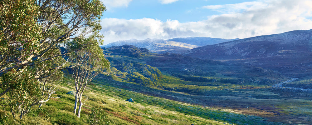 Mt Kosciuszko