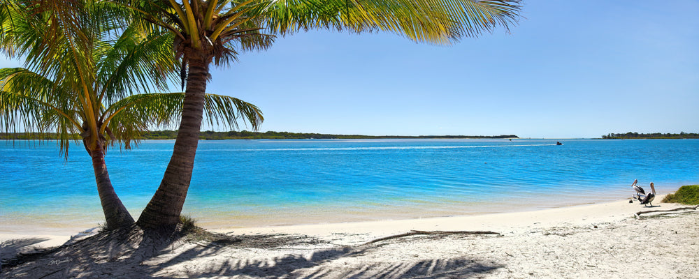 Noosa River Paradise