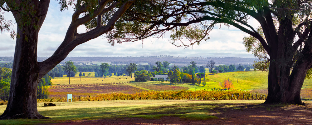 Tyrell Hunter Valley